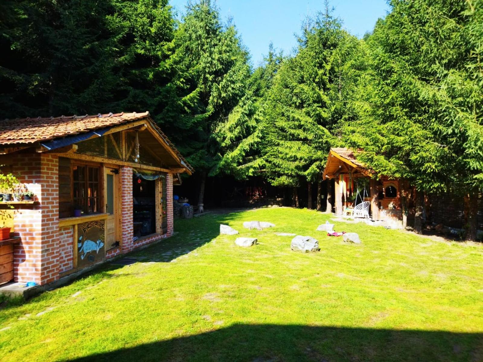 Cabana Frasin Dragoslavele エクステリア 写真